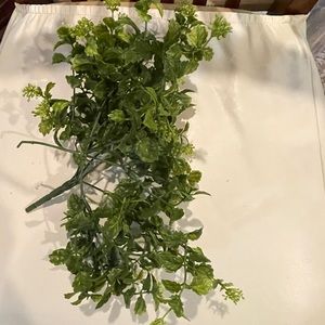 Greenery for decoration